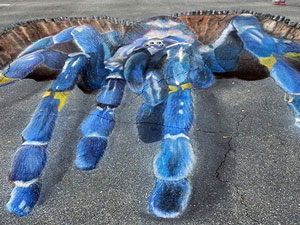 Gooty Sapphire Ornamental Tarantula spider 3D