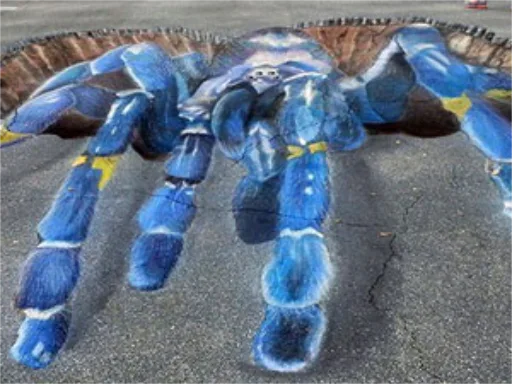Gooty Sapphire Ornamental Tarantula spider 3D chalk art