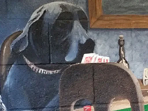 Dog Kennel Wall