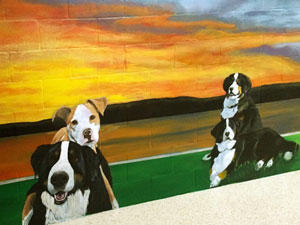 Dog Kennel Wall