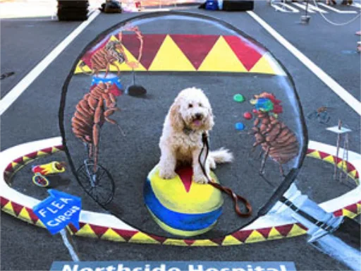 Posing with Flea circus 3D chalk art