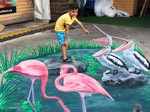 Child posing on Everglades pond with pelicans and flamingos 3D pavement art