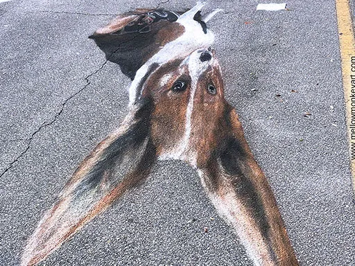 Showing top view skew of 3D chalk art dogs