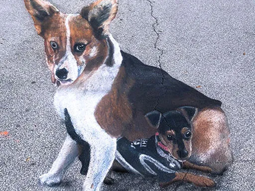 3D chalk art dogs