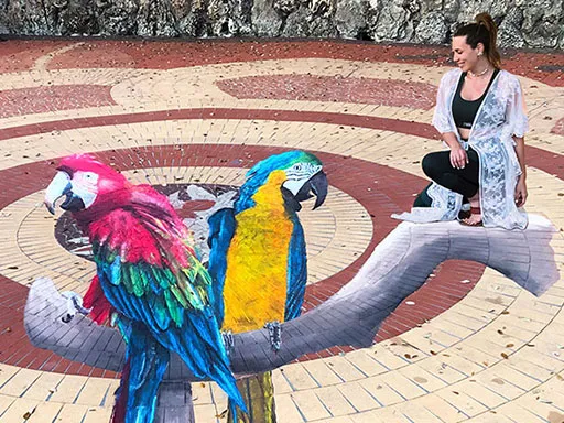 Posing with 3D chalk art macaws chalk art