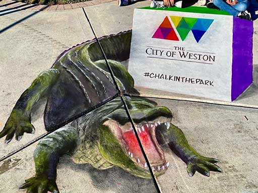 3D chalk art of Alligator for Weston Chalk In The Park