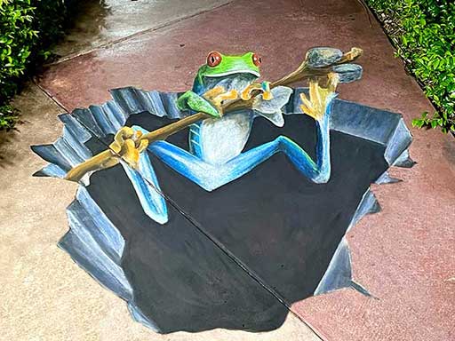 Tree frog 3D chalk art