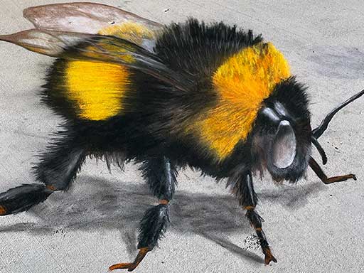 3D chalk art of bumble bee