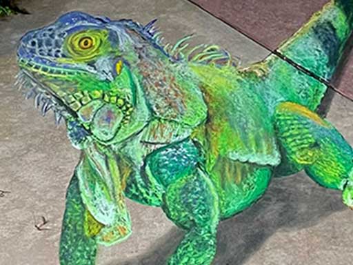 3D chalk art of green iguana