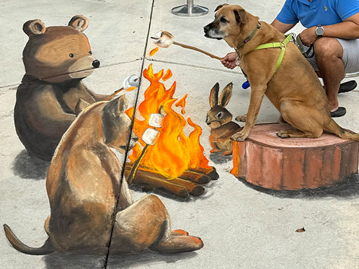 Dog posing with 3D chalk art of forest animals toasting marshmallows around a fire