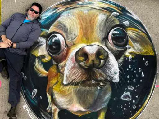 Chalk art of a swimming chihuahua dog.