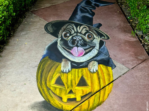 3D chalk image of a pug dog sitting in a Halloween pumpkin.