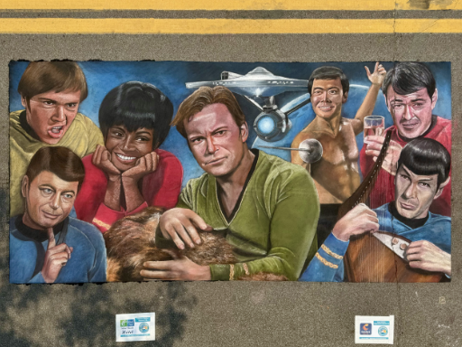 Chalk art portraits of characters from Star Trek The Original Series.