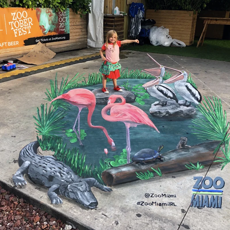 Child posing on Everglades pond with pelicans and flamingos 3D chalk art.