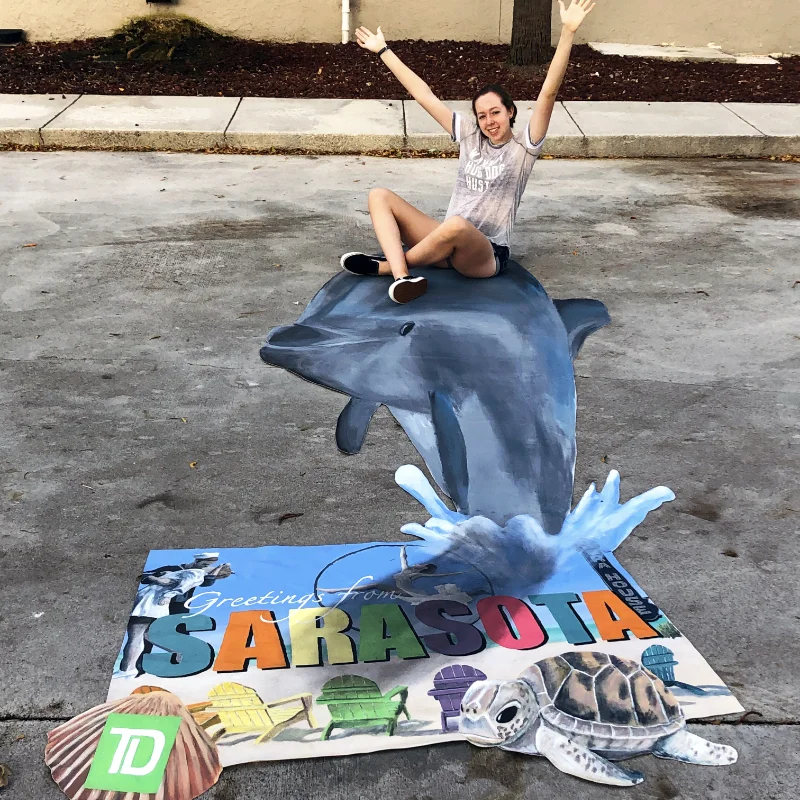 Sarasota Dolphin Postcard painted art.