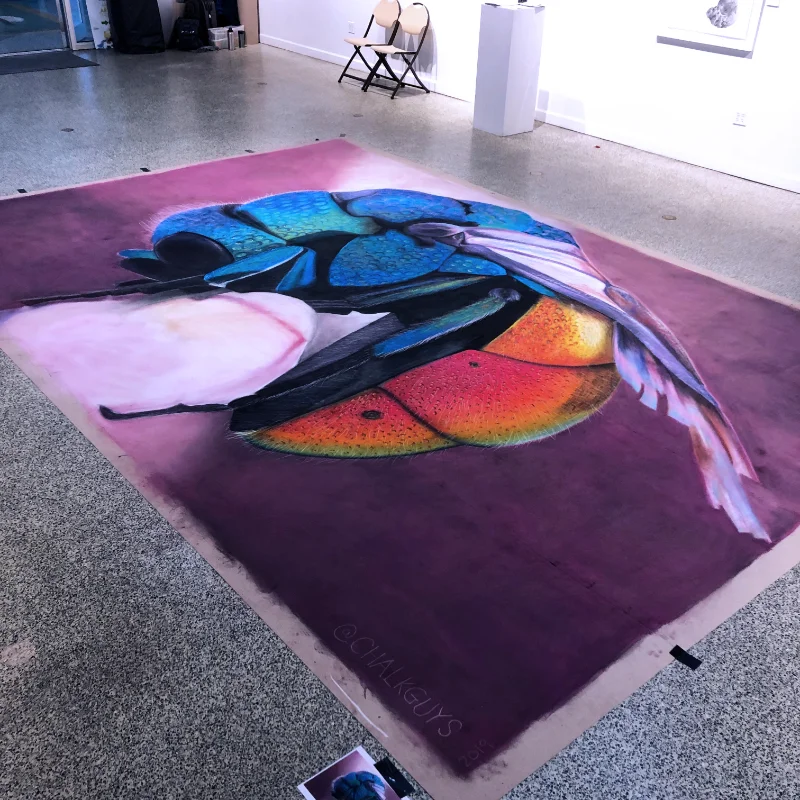 Sleeping cuckoo wasp chalk art